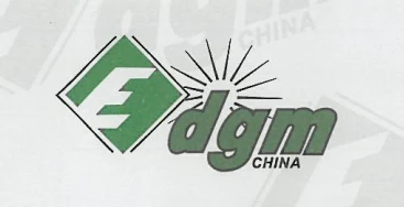 DGM China
